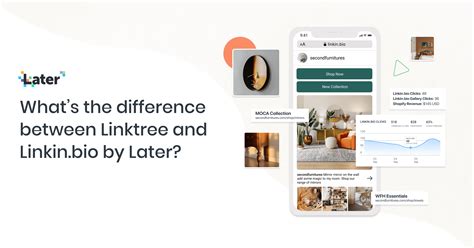 koji vs linktree|7 Linktree Alternatives for Your ‘Link in Bio’